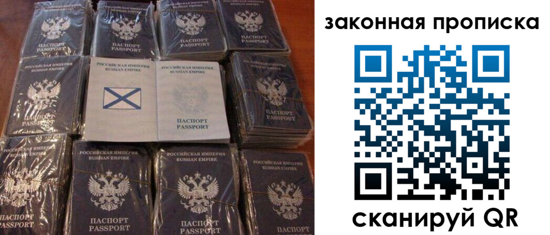 прописка для школы в Куртамыше